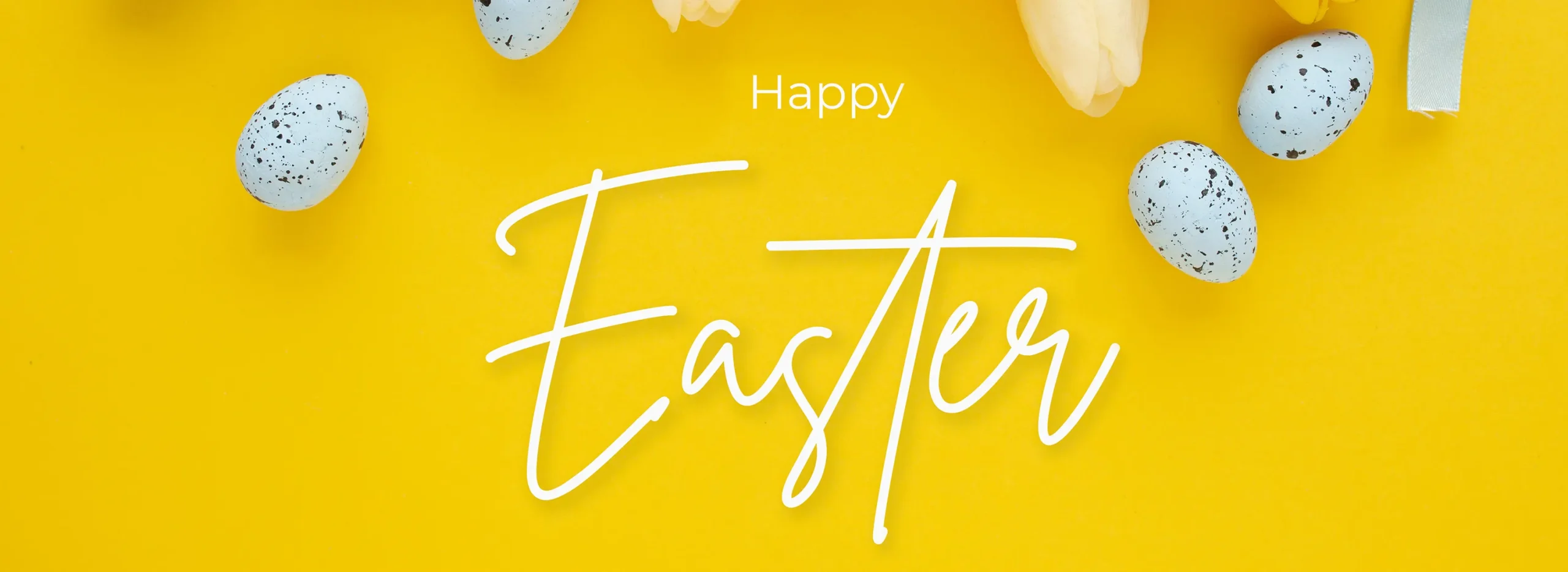 gallery - Cover happy easter Omis 