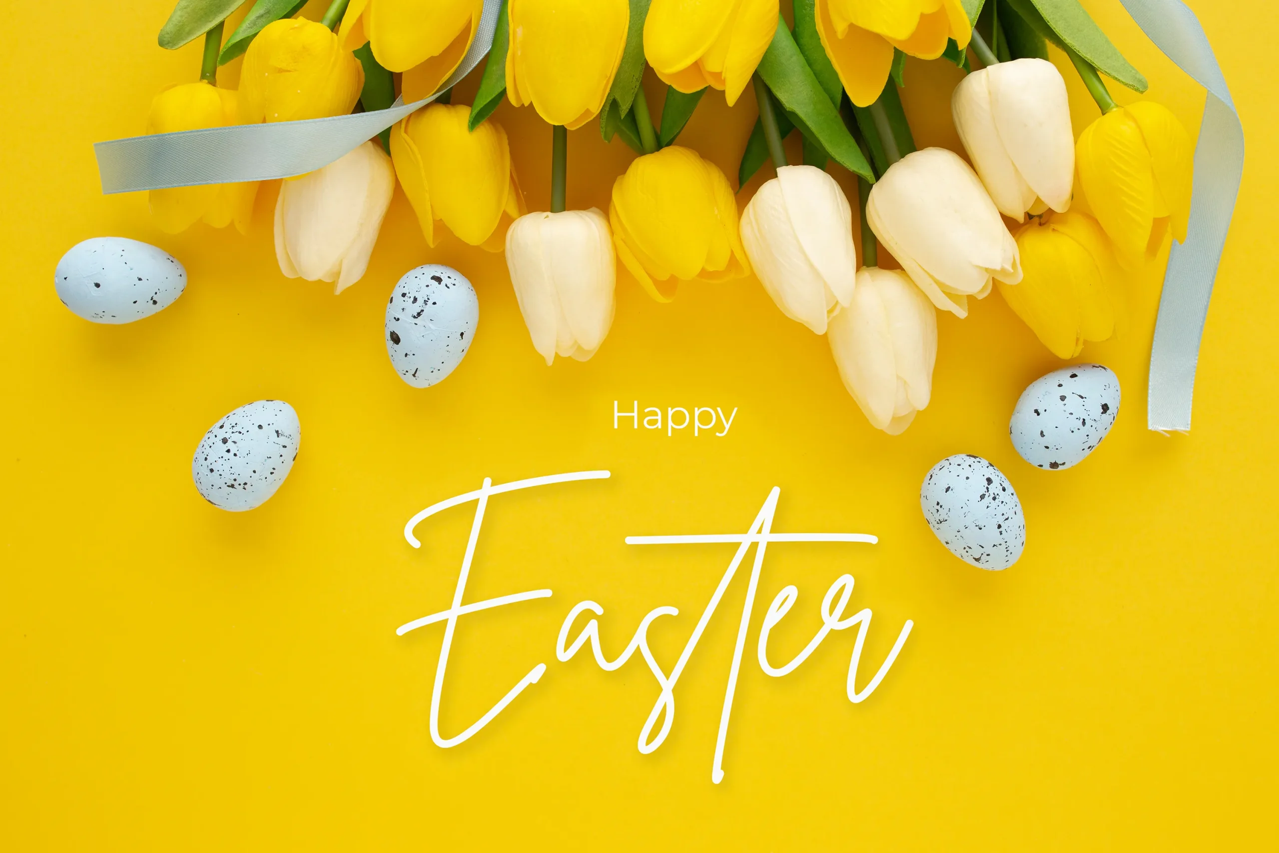 gallery - Happy easter Omis 