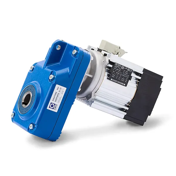 gallery - Spare parts gear motor for overhead crane Omis