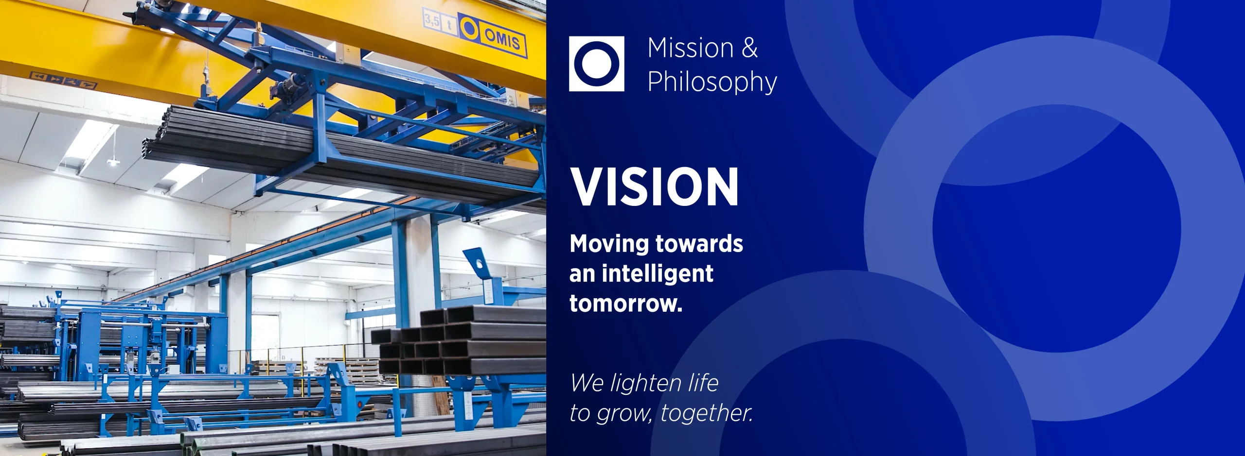 site-cover-vision-omis